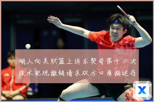 湖人向美职篮上诉东契奇第十六次技术犯规撤销请求双方口角描述存赛场复盘：最新赛事动态与深度分析